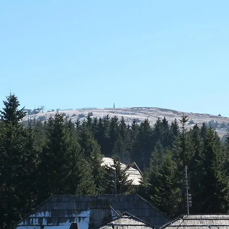 Sia קופאוניק