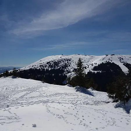 דירה Sia קופאוניק