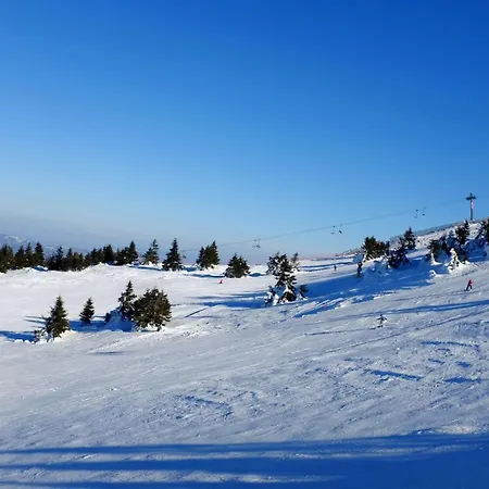 Sia קופאוניק